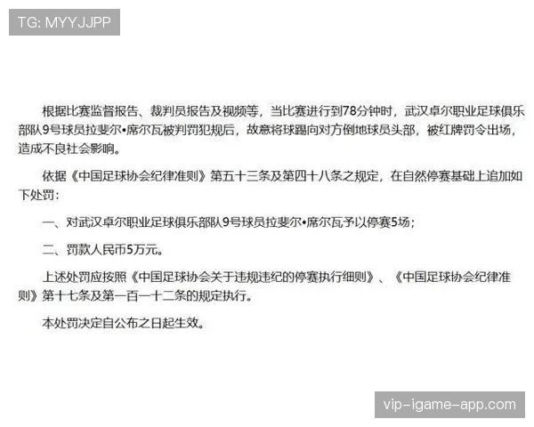足球比赛官员分工详解：不同裁判职责与判罚权限完全拆解