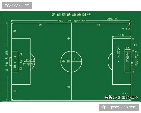 足球体育道德规则：裁判如何保障比赛公平与公正的判罚标准