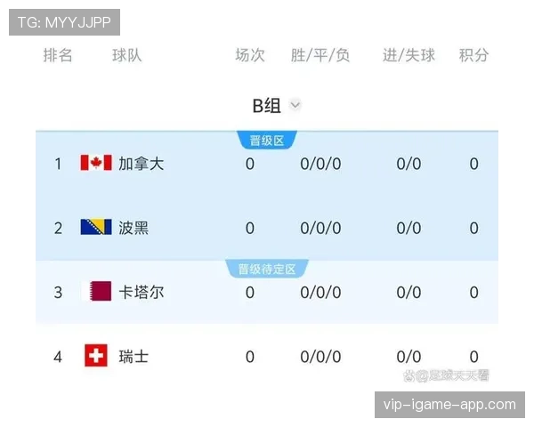 卡塔尔队世界杯小组赛总结：比分与排名整理