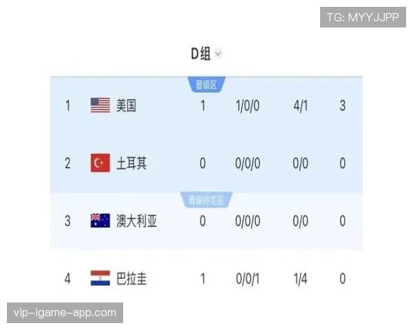 土耳其3-2美国：世界杯D组末轮战报